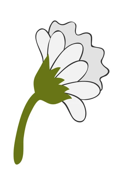 Kézzel Rajzolt Daisy Virág Rajzfilm Illusztráció Egy Egyszerű Virág Fehér — Stock Vector