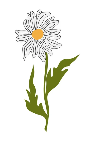Hand Drawn Daisy Flower Cartoon Illustration Simple Flower White Background — Stock Vector