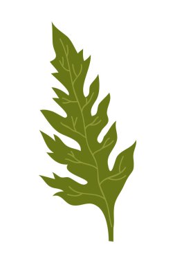 Gelincik Çiçeği Element Çizimi. Beyaz arkaplanda izole edilmiş vektör kırmızı gelincikleri.