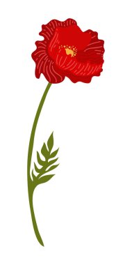 Gelincik Çiçeği Element Çizimi. Beyaz arkaplanda izole edilmiş vektör kırmızı gelincikleri.