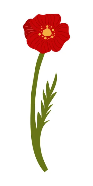 Poppy Flower Element Illustration Vector Red Poppies Isolated White Background — Stock Vector