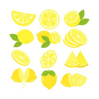 Taze Limon İllüstrasyonu Beyaz Arkaplanda İzole Edildi. Limon Dilimli Çizgi Film Çizimi.