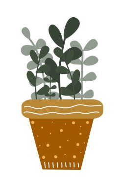 House Plant Illustration 'da. Ev Bitkisi Dekorasyonu. Tencerede Kapalı Çiçek İllüstrasyonu.