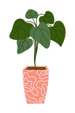 House Plant Illustration 'da. Ev Bitkisi Dekorasyonu. Tencerede Kapalı Çiçek İllüstrasyonu.