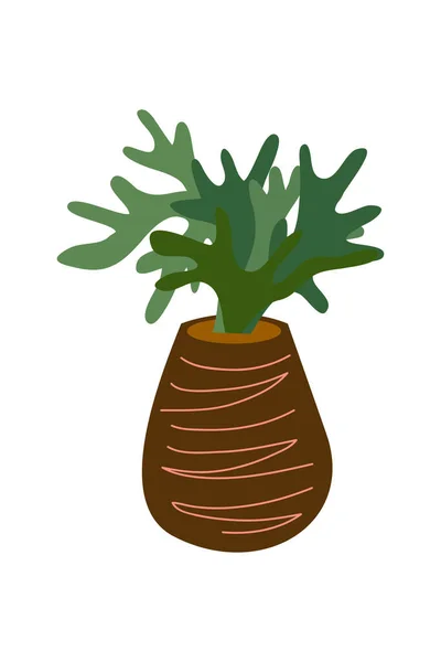 Ilustrație Plante Casă Home Element Decorare Plantelor Ilustrația Plantei Interior — Vector de stoc
