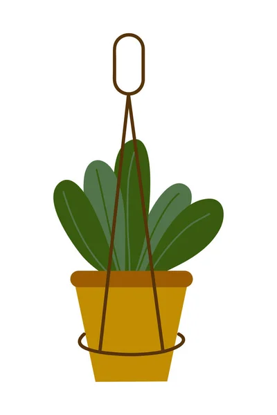 Illustration Des Plantes Maison Accueil Élément Décoration Végétale Illustration Une — Image vectorielle
