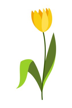 Bahar Elementi İllüstrasyonu Beyaz Arkaplanda İzole Edildi. Bahçıvanlık ve baharda çizilmiş elementler. Çiçek ve Hayvan Baharı karalama seti. Sevimli bahar tırmanışları, Paskalya elementleri.