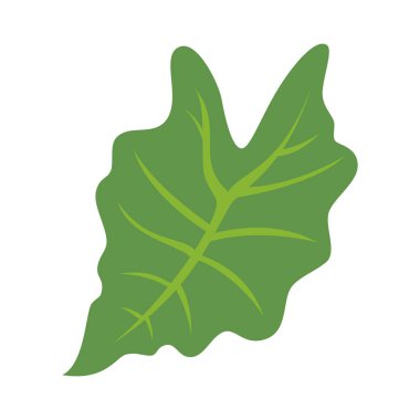 Beyaz arka planda tropik yapraklar ve soyut egzotik bitki vektör tasarım elementleri. Düz Tasarım orman yaprakları. Doğa bitkisi tropik yapraklar