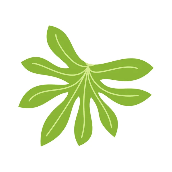 Tropische Blätter Und Abstrakte Exotische Pflanzenvektorgestaltungselemente Auf Weißem Hintergrund Flat — Stockvektor