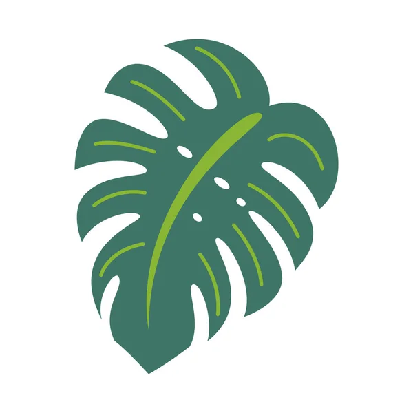Folhas Tropicais Elementos Abstratos Design Vetores Plantas Exóticas Fundo Branco — Vetor de Stock