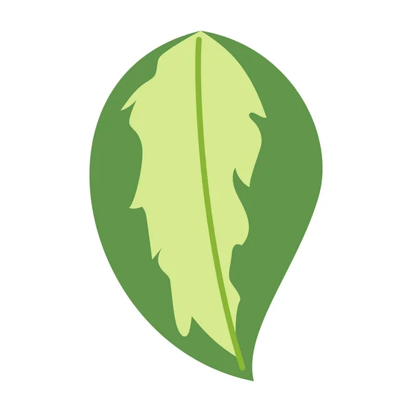 熱帯の葉と白い背景に抽象的なエキゾチックな植物ベクトルの設計要素 フラットデザインジャングルの葉 自然植物熱帯の葉 — ストックベクタ