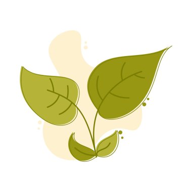 Estetik Çiçek İllüstrasyonu. Basit çiçek tasarımı. Çiçek koleksiyonu. El çizimi çiçek çizimi. Botanik çiçek taslağı. Bitki, çiçek silueti. Düğün skeci. Vektör illüstrasyonu.