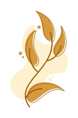 Estetik Çiçek İllüstrasyonu. Basit çiçek tasarımı. Çiçek koleksiyonu. El çizimi çiçek çizimi. Botanik çiçek taslağı. Bitki, çiçek silueti. Düğün skeci. Vektör illüstrasyonu.