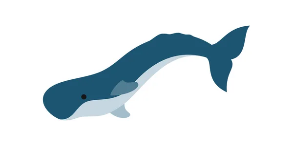Illustration Des Animaux Marins Habitants Mer Vie Sous Marine Océanique — Image vectorielle