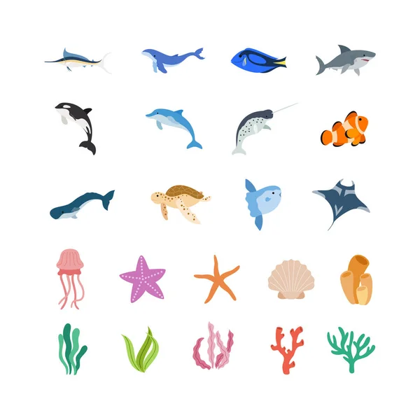 Marine Animals Illustration Habitantes Del Mar Vida Submarina Lindo Océano — Archivo Imágenes Vectoriales