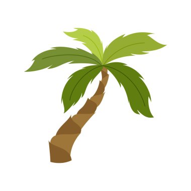 Palmiye ağaçları beyaz arka planda izole edilmiştir. Güzel palmiye ağacı çizimi. Hindistan cevizi ağacı çizimleri