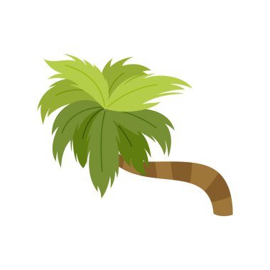 Palmiye ağaçları beyaz arka planda izole edilmiştir. Güzel palmiye ağacı çizimi. Hindistan cevizi ağacı çizimleri