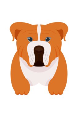 Çizgi filmlerdeki köpek yavruları sevimli karakterler doğurur. Şirin köpek ve köpek yavrularının düz tasarımı.