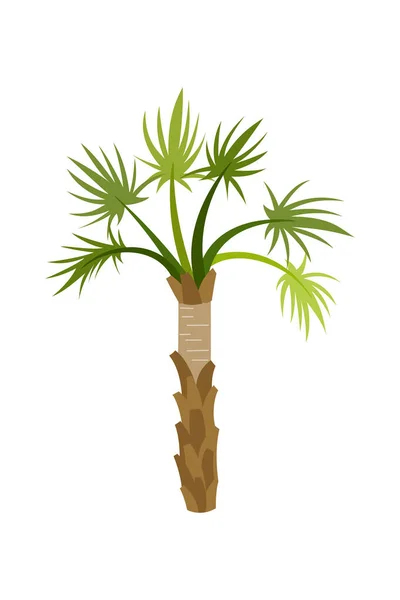 Palm Trees Isolated White Background Beautiful Palm Tree Illustration Coconut — Stock Vector