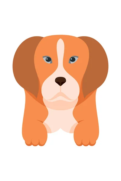 강아지개는 동물귀여운 캐릭터를 키우죠 귀여운 강아지 삽화의 디자인 — 스톡 벡터