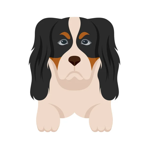 Desenhos Animados Cachorros Raças Animais Estimação Personagens Bonitos Design Plano —  Vetores de Stock