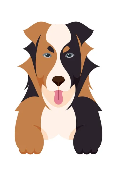 Cachorro Dibujos Animados Perros Razas Mascotas Personajes Lindos Diseño Plano — Vector de stock