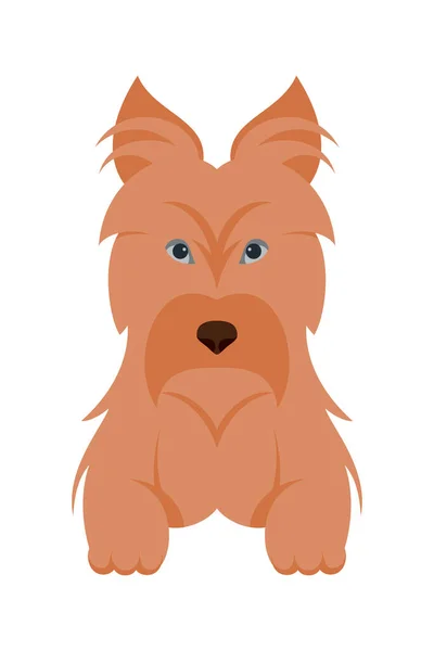 Cartoon Puppy Honden Fokken Huisdieren Schattige Personages Plat Ontwerp Van — Stockvector