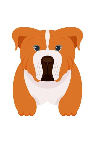 Cachorro Dibujos Animados Perros Razas Mascotas Personajes Lindos Diseño Plano — Archivo Imágenes Vectoriales