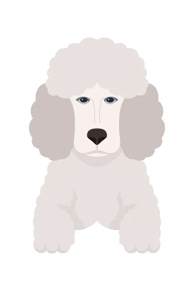 漫画子犬の犬はペットかわいい文字を繁殖させます かわいい犬や子犬のベクトルのイラストのフラットデザイン — ストックベクタ
