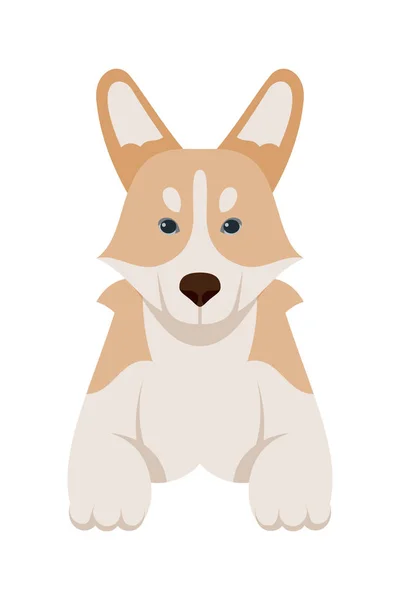 Cachorro Dibujos Animados Perros Razas Mascotas Personajes Lindos Diseño Plano — Vector de stock