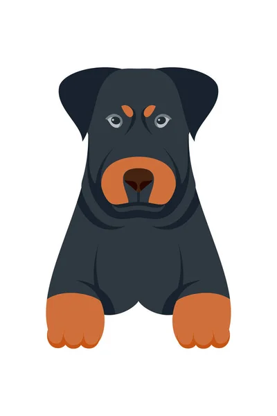 Desenhos Animados Cachorros Raças Animais Estimação Personagens Bonitos Design Plano —  Vetores de Stock