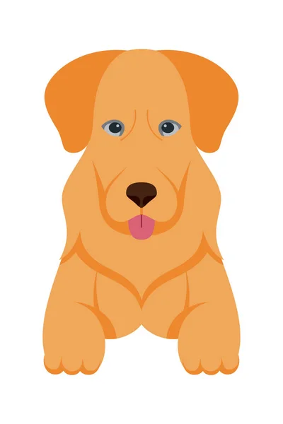 漫画子犬の犬はペットかわいい文字を繁殖させます かわいい犬や子犬のベクトルのイラストのフラットデザイン — ストックベクタ
