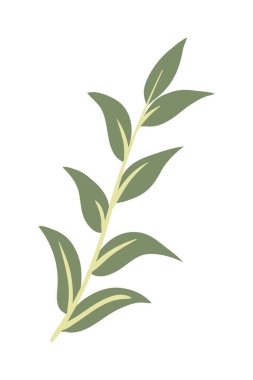 Tropik yapraklar elementleri bırakır. El çizimi vektör çizimi. Beyaz arka planda tropik yapraklar ve soyut egzotik plan vektör tasarım elementleri.