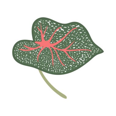 Tropik yapraklar elementleri bırakır. El çizimi vektör çizimi. Beyaz arka planda tropik yapraklar ve soyut egzotik plan vektör tasarım elementleri.