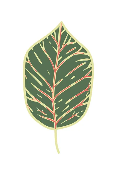 Tropische Blätter Handgezeichnete Vektorillustration Tropische Blätter Und Abstrakte Exotische Planvektorgestaltungselemente — Stockvektor