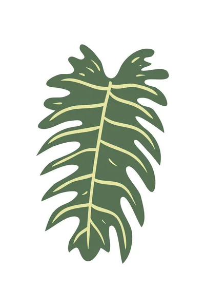 Tropische Blätter Handgezeichnete Vektorillustration Tropische Blätter Und Abstrakte Exotische Planvektorgestaltungselemente — Stockvektor