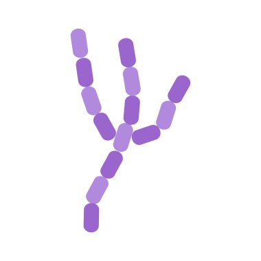 Virüs ve Bakteri Tasarım Resimleri İzole Edildi