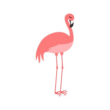 Pembe Flamingo Çizgi Filmi Beyaz Arkaplanda İzole Edildi. Yaz Hayvanları Çizimi