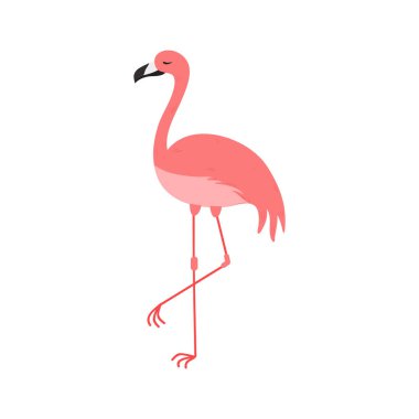 Pembe Flamingo Çizgi Filmi Beyaz Arkaplanda İzole Edildi. Yaz Hayvanları Çizimi