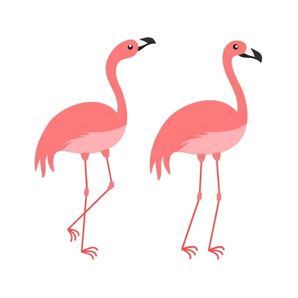 Rosa Flamingo Tecknad Illustration Isolerad Vit Bakgrund Illustration Sommardjur — Stock vektor