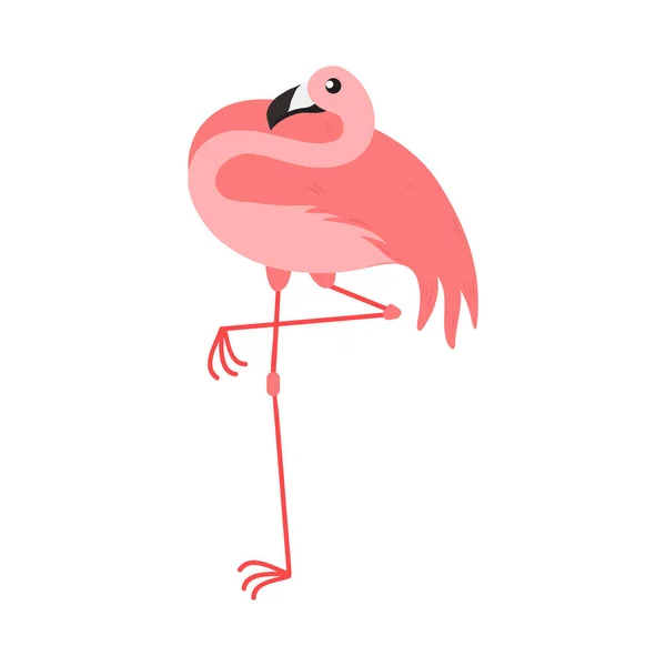 Rózsaszín Flamingó Rajzfilm Illusztráció Elszigetelt Fehér Háttér Nyári Állat Illusztráció — Stock Vector