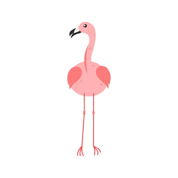 Růžové Flamingo Cartoon Illustration Izolované Bílém Pozadí Letní Ilustrace Zvířat — Stockový vektor