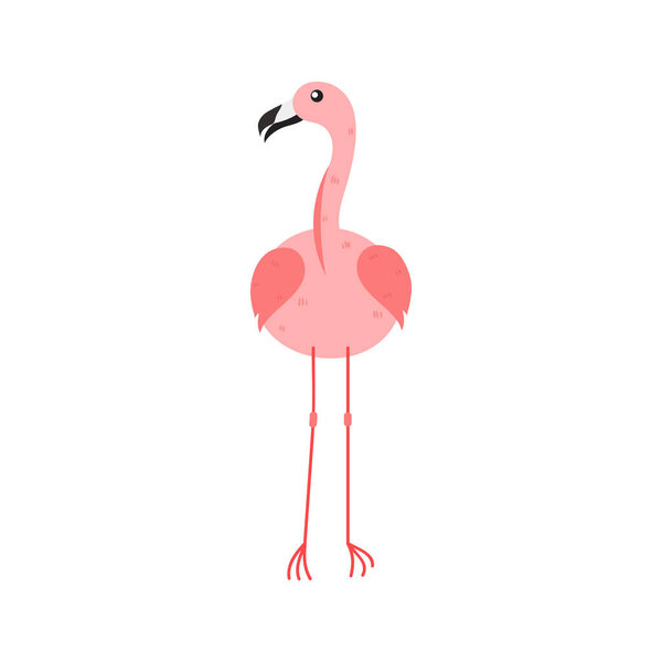 Pink Flamingo Cartoon Illustration Isolated In White Background. Summer Animal Illustration