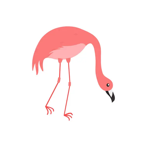 Rosa Flamingo Tecknad Illustration Isolerad Vit Bakgrund Illustration Sommardjur — Stock vektor