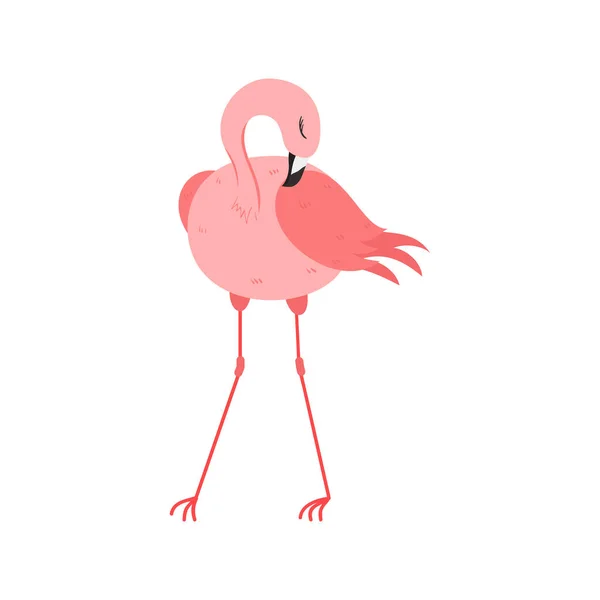 Różowy Flamingo Ilustracja Kreskówki Izolowane Białym Tle Letnia Ilustracja Zwierząt — Wektor stockowy