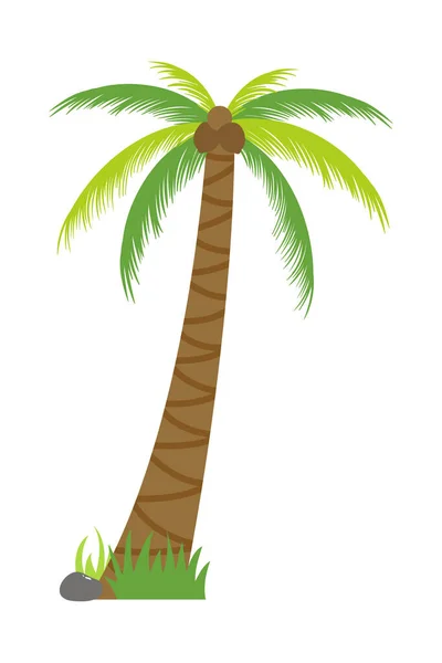 Palmový Strom Ilustrace Plochém Stylu Izolované Bílém Pozadí Tropická Letní — Stockový vektor