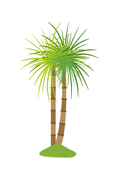 Palmu Kuvitus Tasainen Tyyli Eristetty Valkoisella Pohjalla Trooppinen Kesä Kasvi — vektorikuva