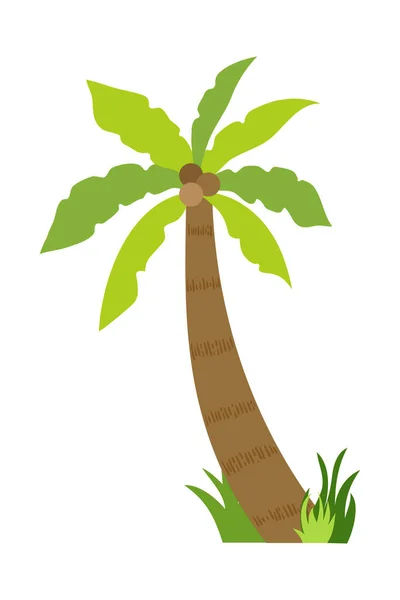 Palme Illustration Flachen Stil Isoliert Weißem Hintergrund Illustration Tropischer Sommerpflanzen — Stockvektor