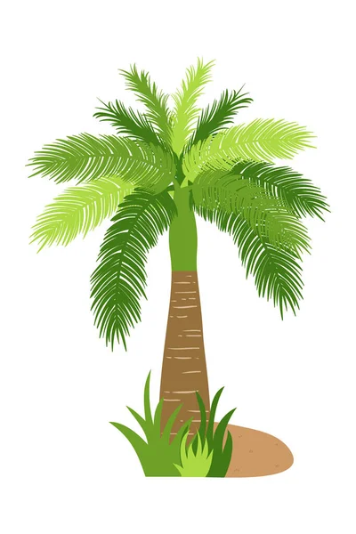 Palmera Ilustración Estilo Plano Aislado Fondo Blanco Ilustración Plantas Tropicales — Vector de stock