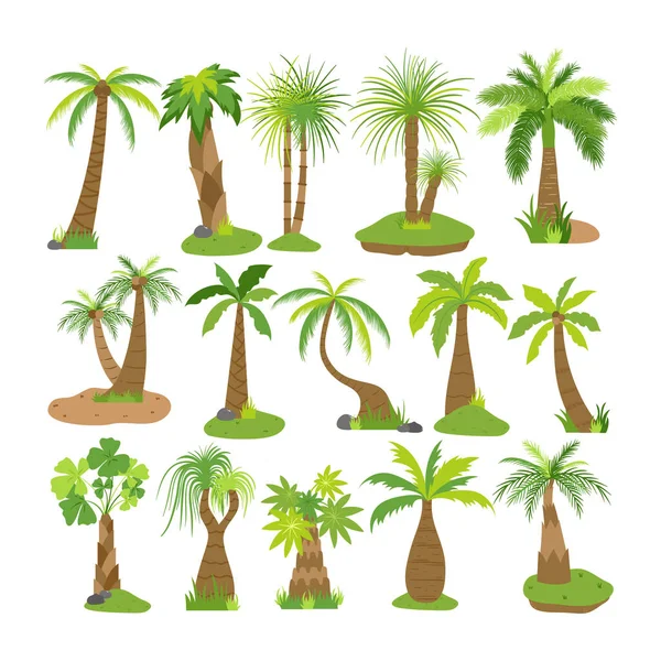 Palm Tree Illustrazione Stile Piatto Isolato Sfondo Bianco Illustrazione Tropicale — Vettoriale Stock